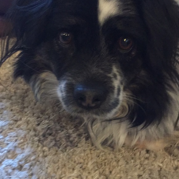 Meet your Posher, Jessica - Picture 1 of 1